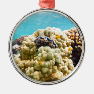 Ornement Métallique La barrière de corail