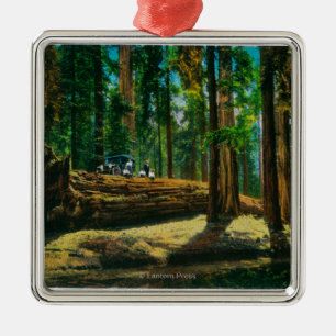 Ornement Métallique La forêt géante d'ouverture automatique, séquoias