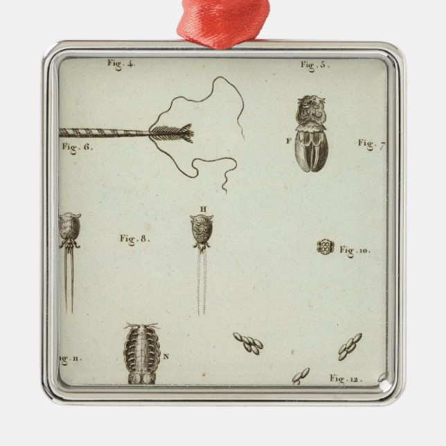 Ornement Métallique L'Alaska 3 (Devant)