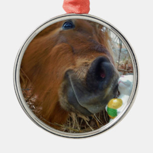 Ornement Métallique Lapin de Pâques et cheval Brown