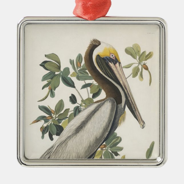 Ornement Métallique Le pélican Brown d'Audubon (Devant)