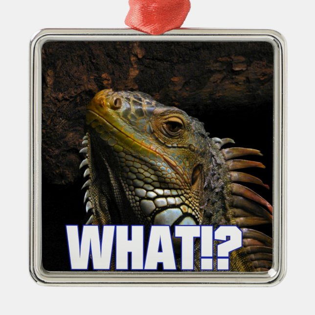 Ornement Métallique Le Quoi ! ? Iguana (Devant)