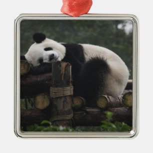 Ornement Métallique Les pandas géants à la Protection des pandas géant