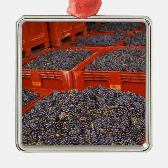 Ornement Métallique Les raisins de Gamay, à partir de la récolte (Devant)