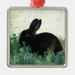 Ornement Métallique Lil Black Bunny