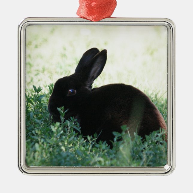 Ornement Métallique Lil Black Bunny (Devant)