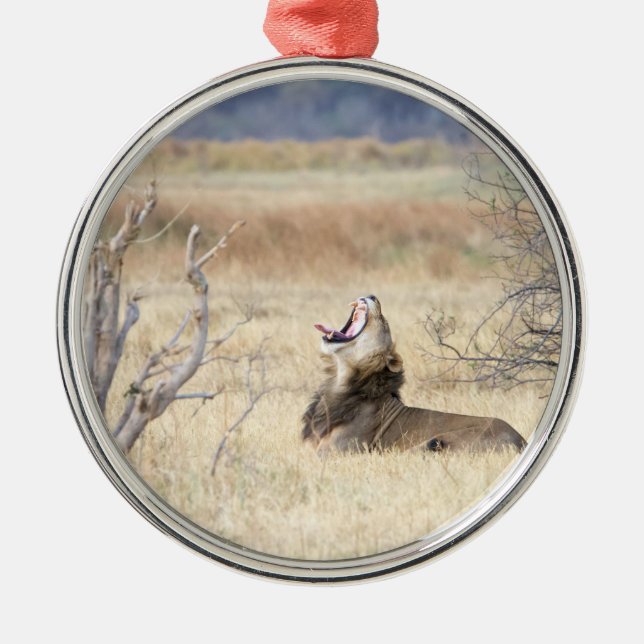 Ornement Métallique Lion de Yawning (Devant)