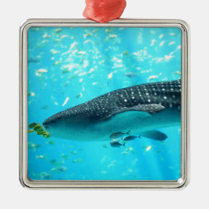 Ornement Métallique Marine Water Chic Cool élégant Baleine bleue Req