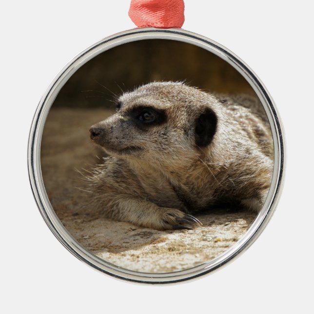 Ornement Métallique Meerkat (Devant)