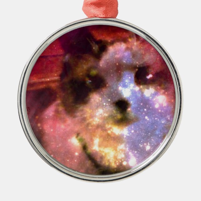 Ornement Métallique minou de borealis de l'aurore de raquette (Devant)