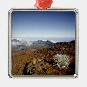 Ornement Métallique Mot d'argent sur la rime du cratère de Haleakala 