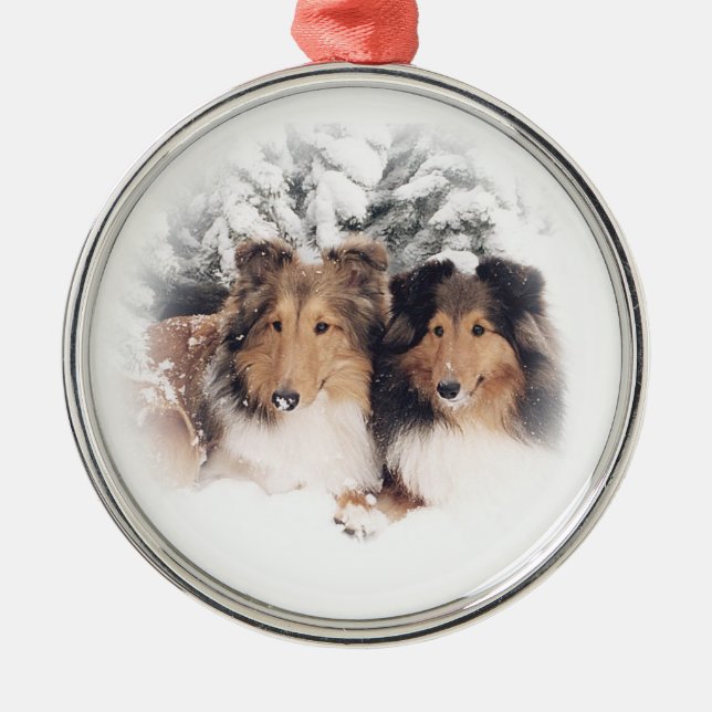 Ornement Métallique Neige Shelties (Devant)