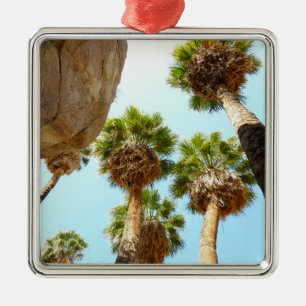 Ornement Métallique Oasis Palms dans le parc national de Joshua Tree