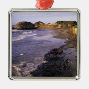 Ornement Métallique OR, Côte de l'Oregon, Newport, littoral au phoque