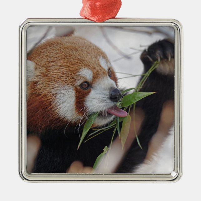 Ornement Métallique panda rouge impression animale mignon (Devant)