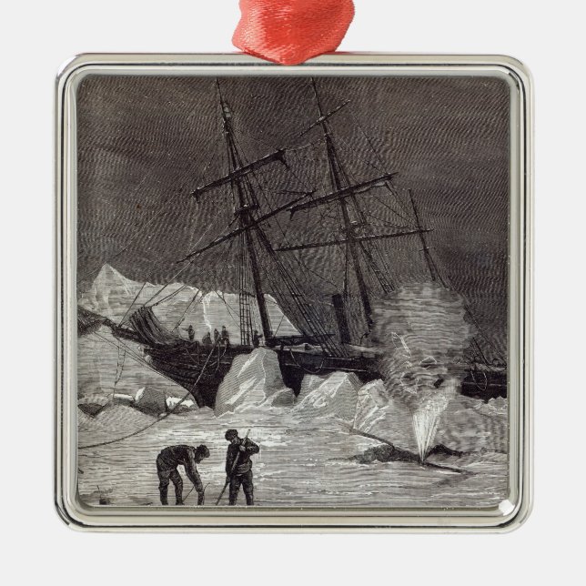 Ornement Métallique Pandora a pincé dans la glace (Devant)