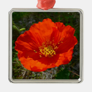 Ornement Métallique Pavot rouge de l'Alaska Fleur colorée