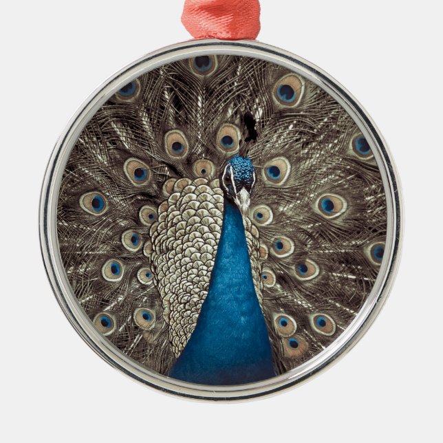 Ornement Métallique Peacock bleu antique (Devant)