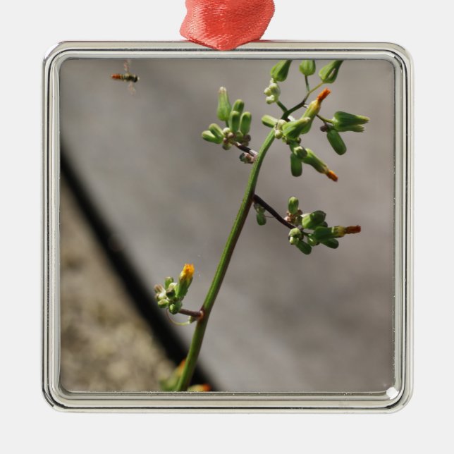 Ornement Métallique Petit Bug, Petite Fleur (Devant)