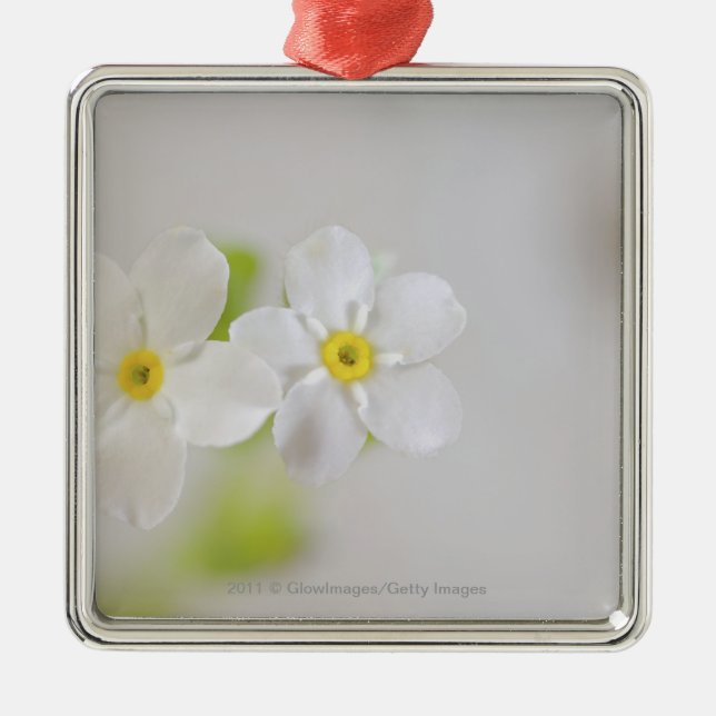 Ornement Métallique Plan rapproché des fleurs (Devant)