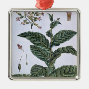 Ornement Métallique Plante de tabac, plat 7, de 'collection Precieuse