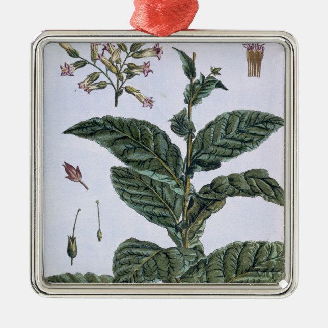 Ornement Métallique Plante de tabac, plat 7, de 'collection Precieuse (Devant)