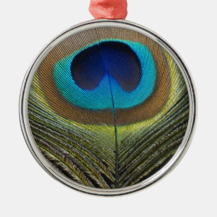 Ornement Métallique Plumes de paquetage spectaculaires