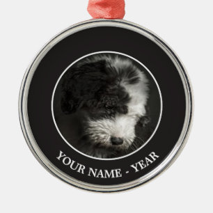 Ornement Métallique Portrait de chiot de queue écourtée dans le studio