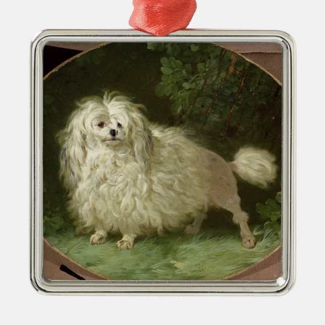 Ornement Métallique Portrait d'un caniche (Devant)