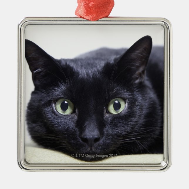 Ornement Métallique Portrait d'un chat (Devant)