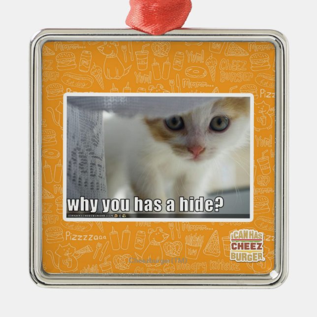 Ornement Métallique Pourquoi a-t-vous une peau ? (Devant)