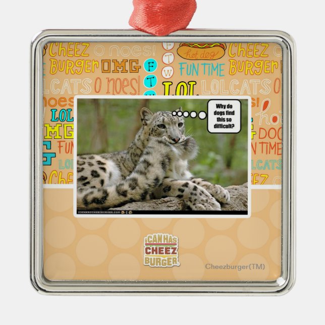 Ornement Métallique Pourquoi les chiens trouvent-ils ceci si difficile (Devant)