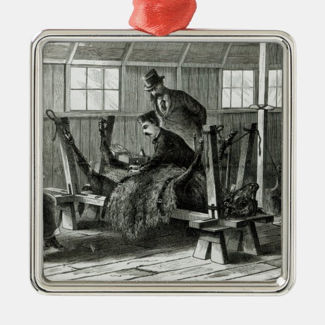 Ornement Métallique Prise du virus du veau (Devant)