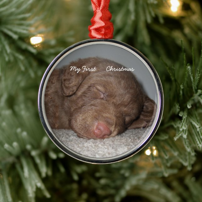 Ornement Métallique Puppy My First Christmas Photo Ornamy (Arbre)