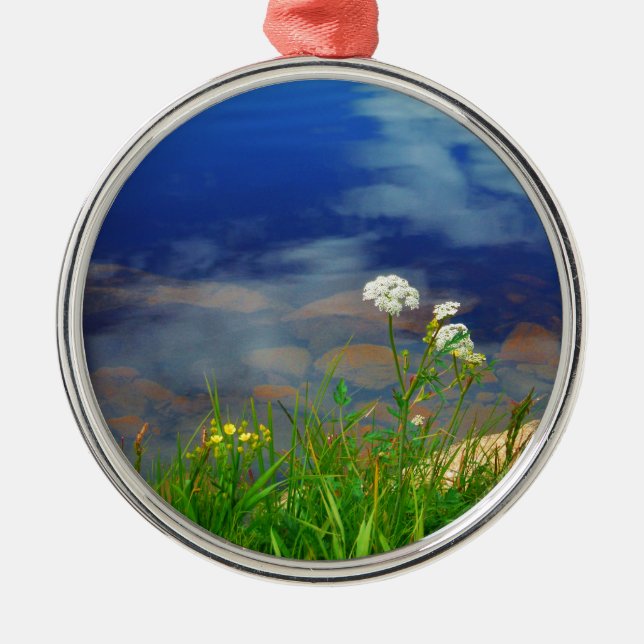 Ornement Métallique Queen Ann's lace flowers, lac bleu mountain (Devant)