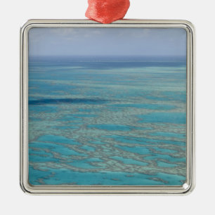 Ornement Métallique Récif tropical, Grande Barrière de corail, Queensl