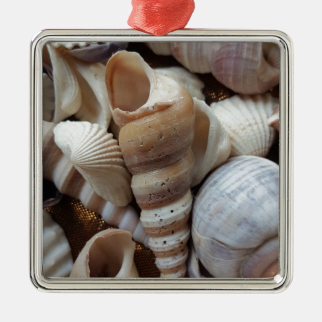 Ornement Métallique Romantique Tropical Exotic Sea Shells Plage Amour (Devant)
