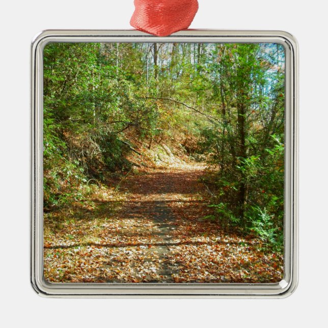 Ornement Métallique Sentier forestier d'automne éclairé (Devant)