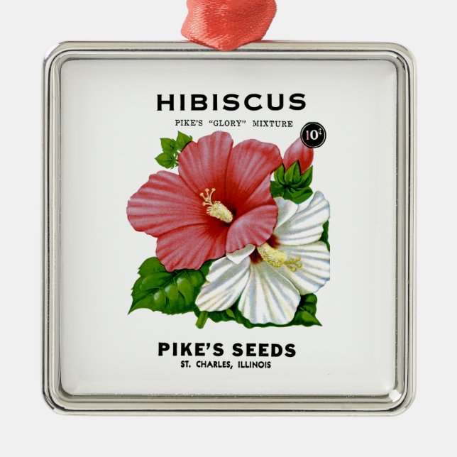 Ornement Métallique Shasta Daisy Vintage semis (Devant)