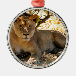 Ornement Métallique Siesta Time