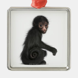 Ornement Métallique Singe d'araignée rougeaud - paniscus d'Ateles (3