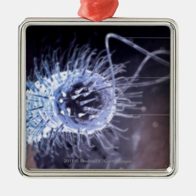 Ornement Métallique Structure d'une cellule de pylores de hélicobacter (Devant)