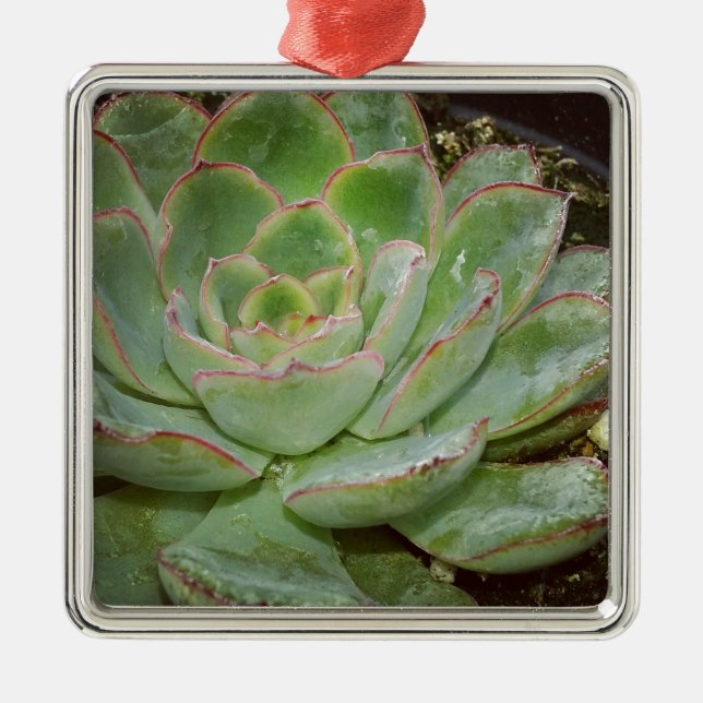 Ornement Métallique Succulents (Devant)
