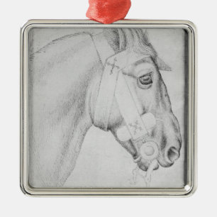 Ornement Métallique Tête d'un cheval, le de l'album de Vallardi