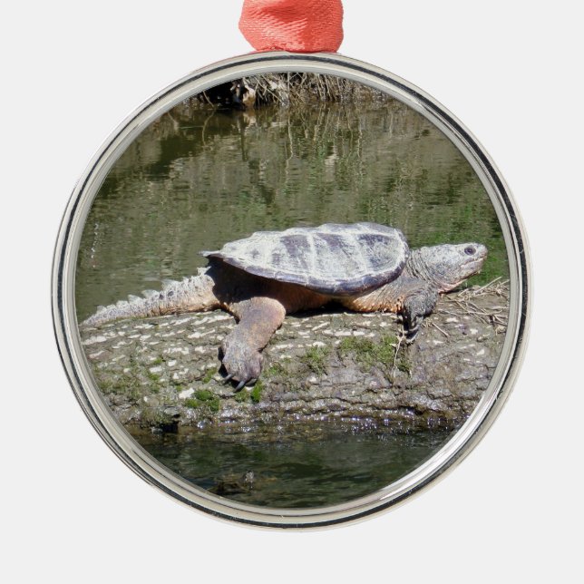 Ornement Métallique Tortue (Devant)