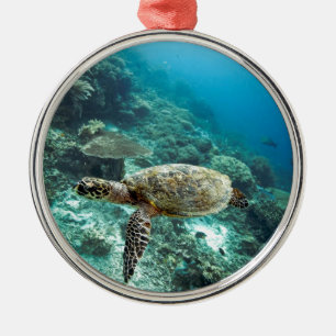Ornement Métallique Tortue imbriquée sous l'eau îles Raja Ampat