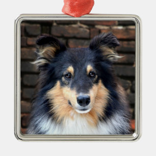 Ornement Métallique Tricolor Sheltie face