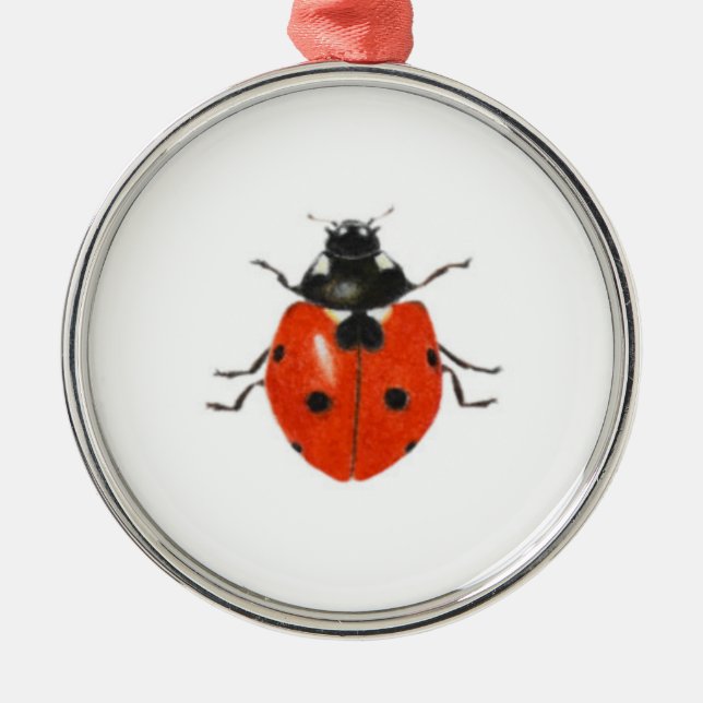 Ornement Métallique Trois coccinelles 2013 (Devant)