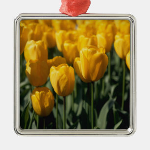 Ornement Métallique Tulipes 3