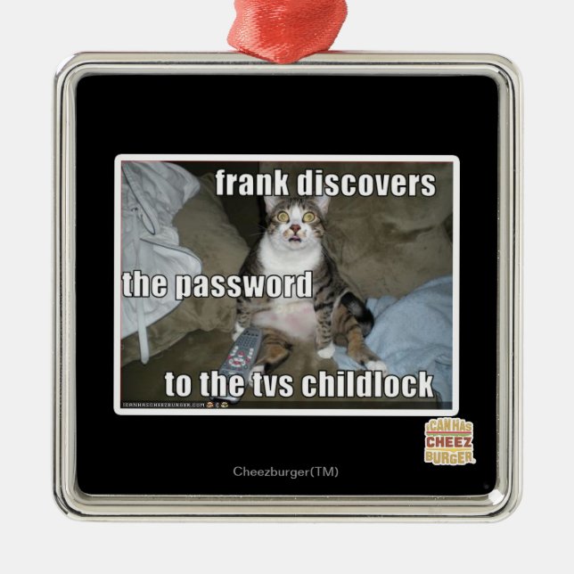 Ornement Métallique TV Childlock (Devant)